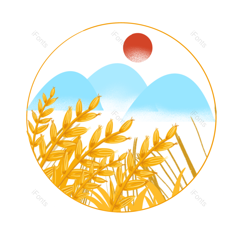 边框图片,芒种元素,稻谷PNG,秋天免抠素材